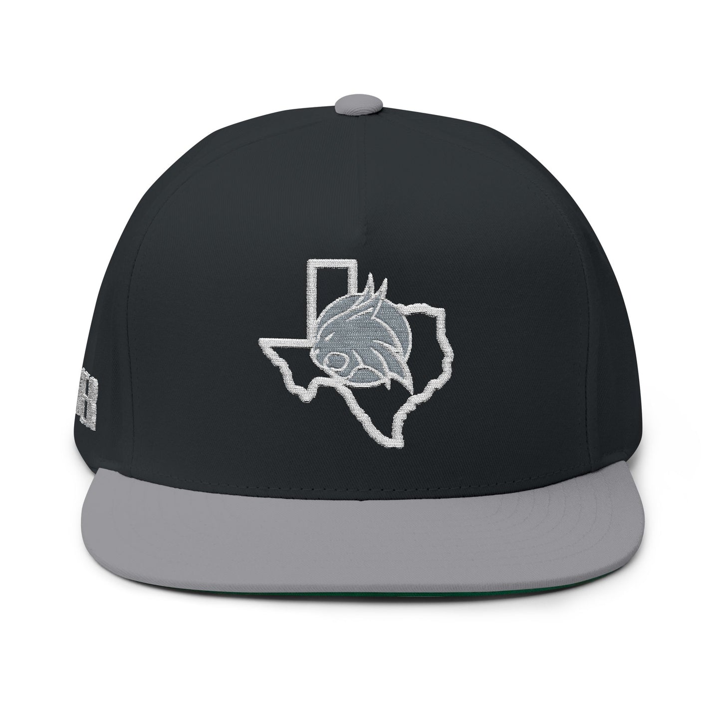 Smyer Texas Embroidered Snapback Cap