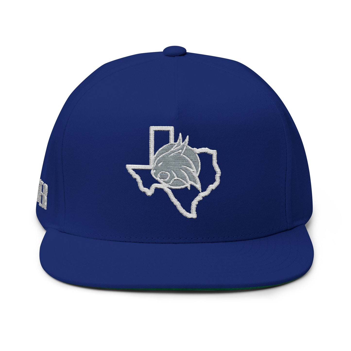 Smyer Texas Embroidered Snapback Cap