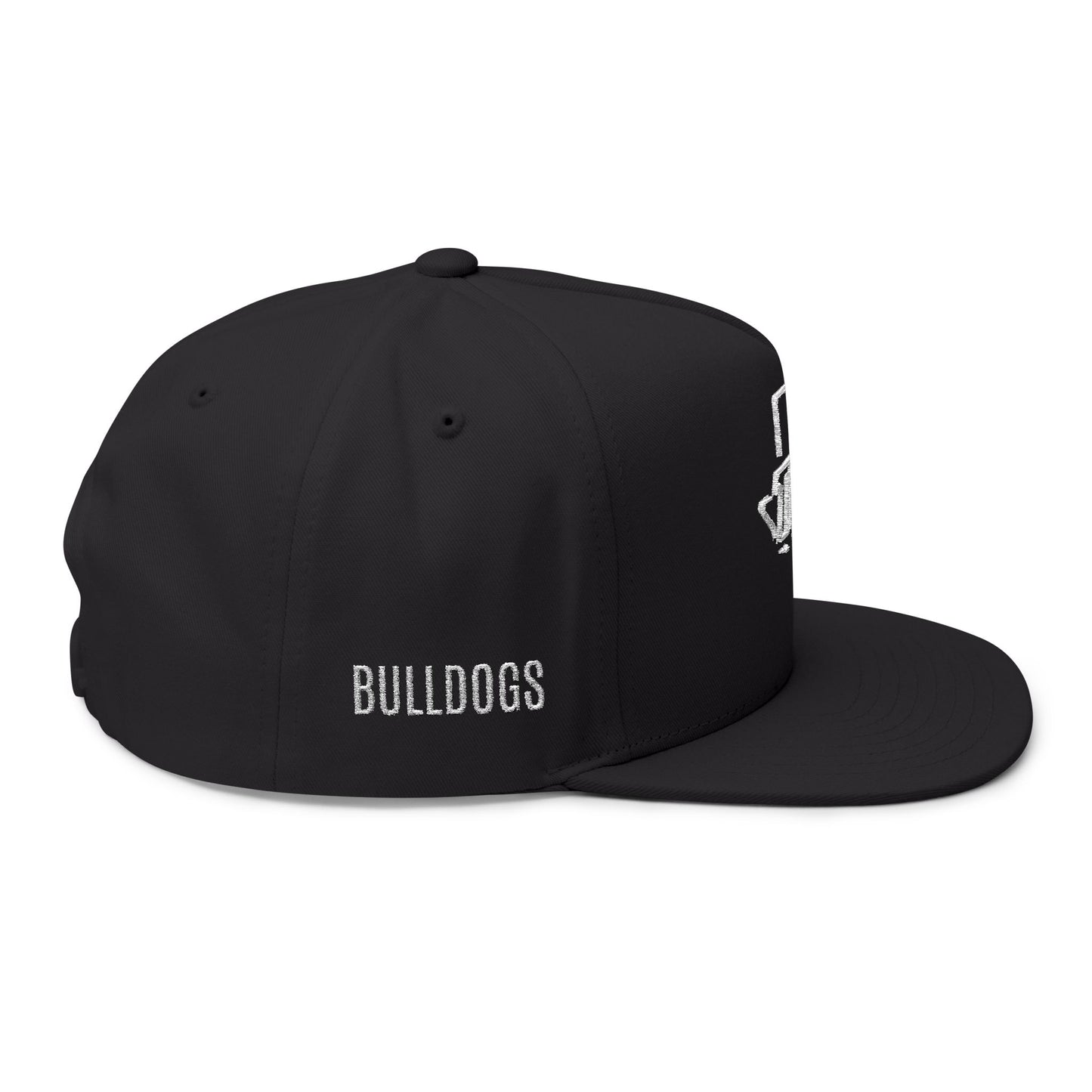 Embroidered TLU Snapback Flatbill Hat