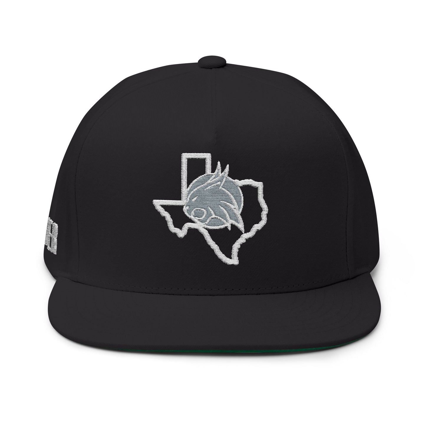 Smyer Texas Embroidered Snapback Cap