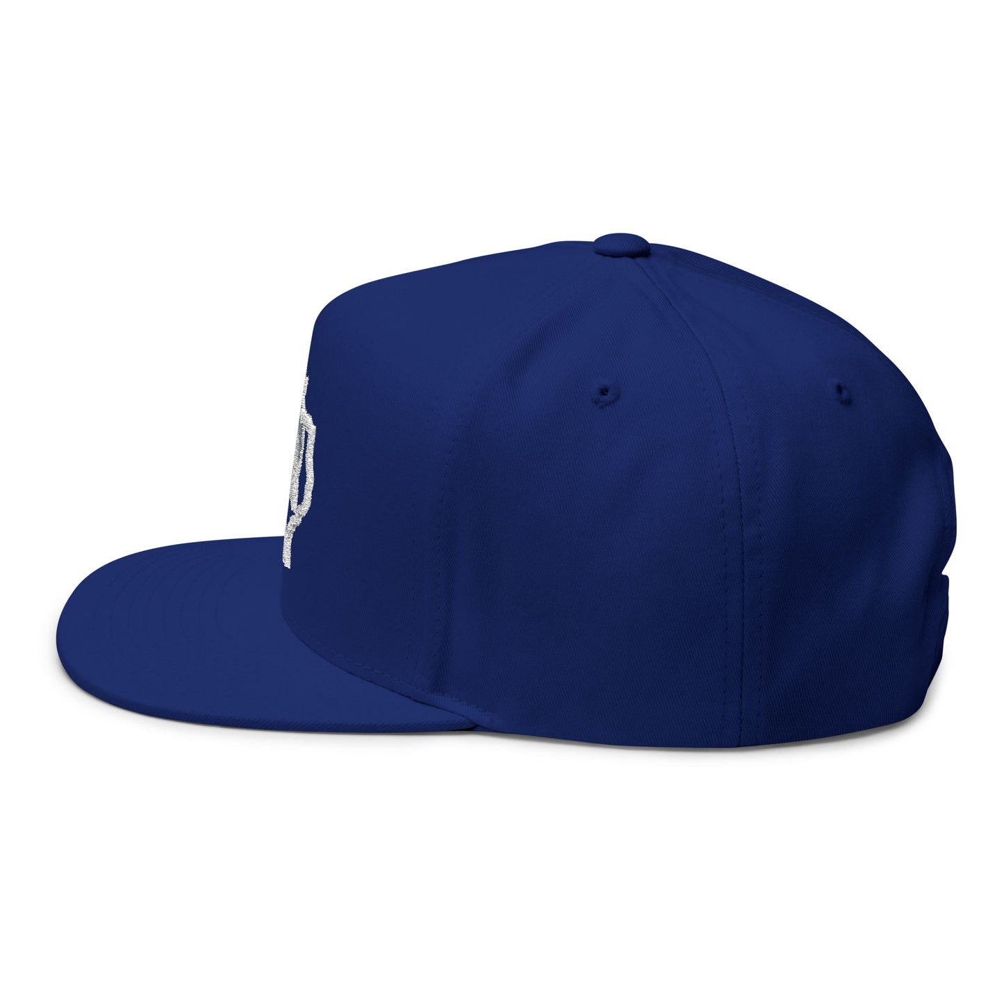 Smyer Texas Embroidered Snapback Cap
