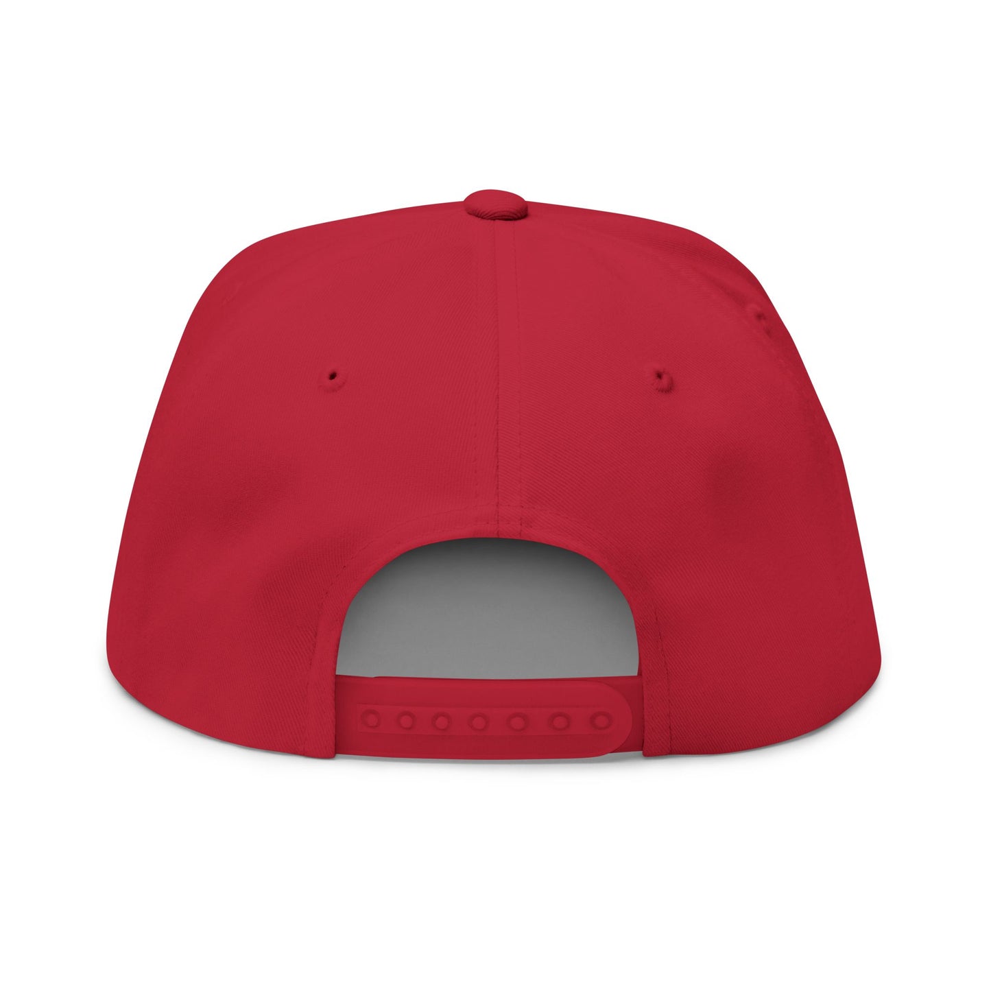 Proverbs 27:17 Embroidered Flat Bill Cap — "Iron Sharpens Iron" Snapback
