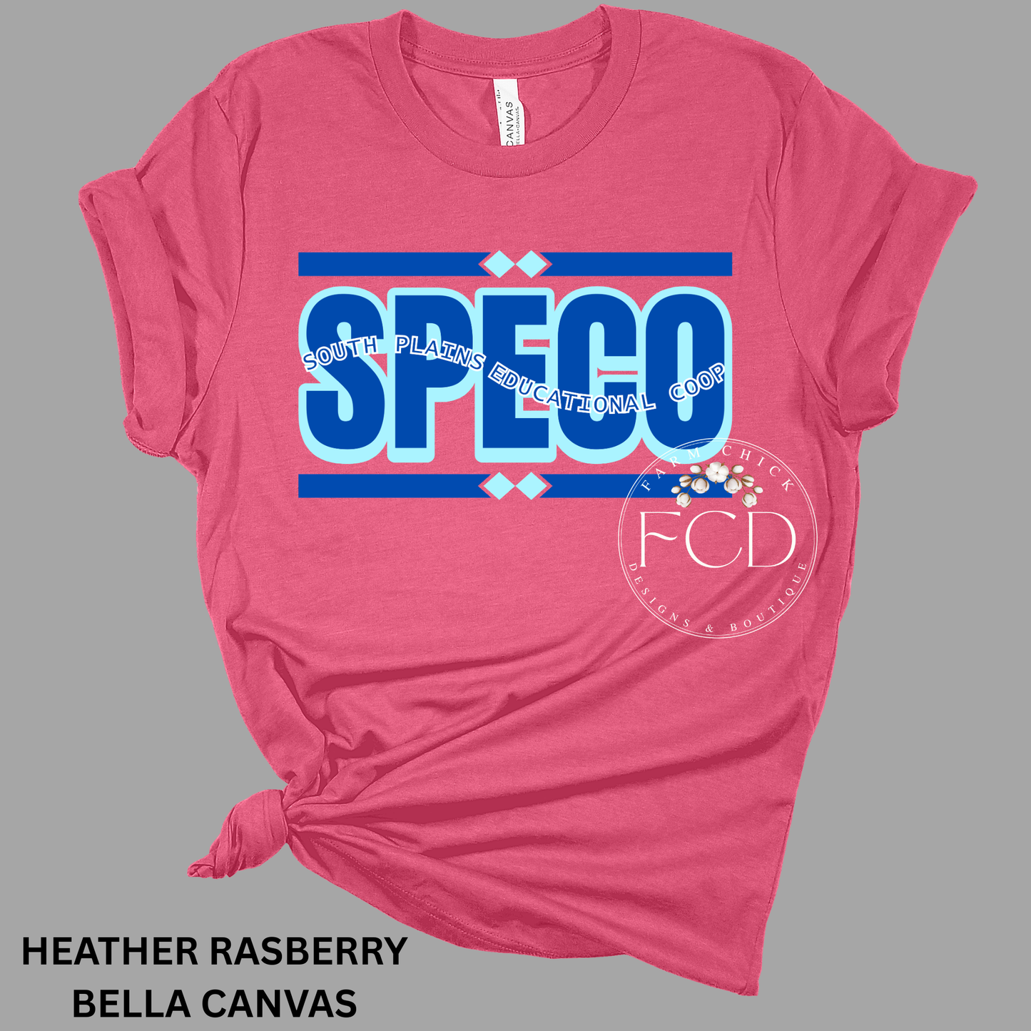 SPECO , SOUTH PLAINS EDUCATION COOP